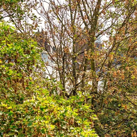 Le Golden Black A ! Lägenhet *