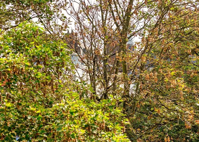 Le Golden Black A ! Appartement *